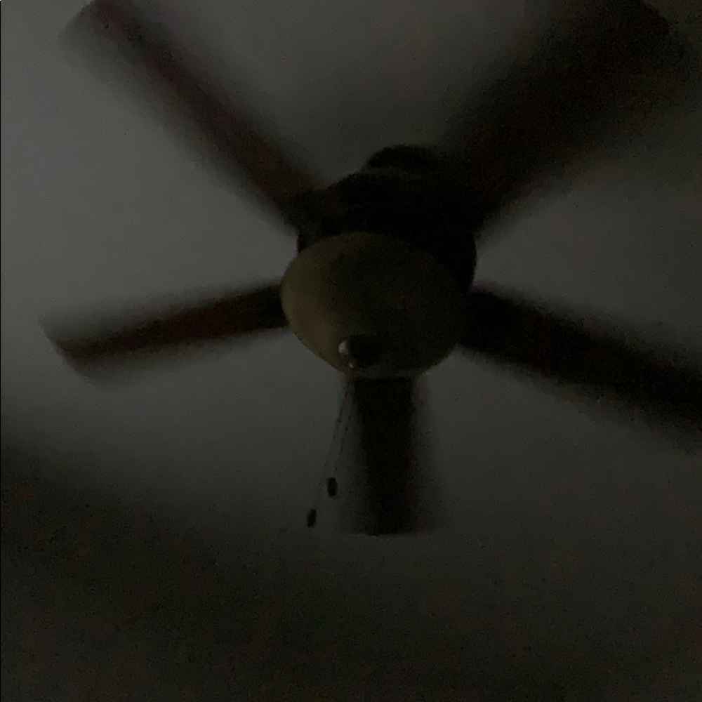 Meet your Posher, Helen